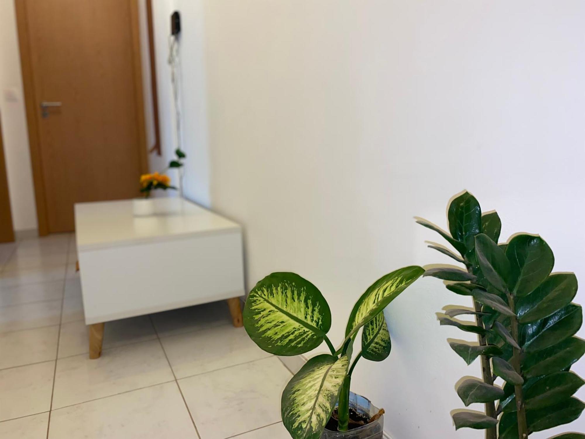 Apartamento T2 Equipado E Aconchegante. Praia Zewnętrze zdjęcie
